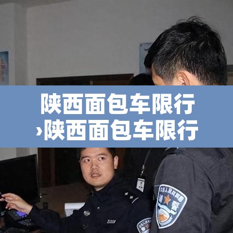 陕西面包车限行›陕西面包车限行规定