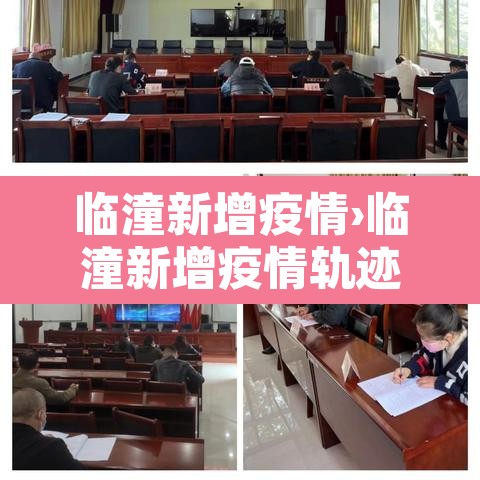 临潼新增疫情›临潼新增疫情轨迹