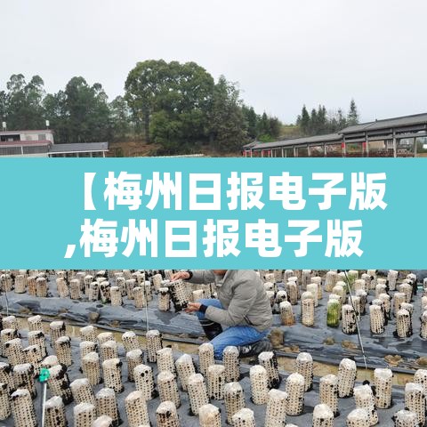 【梅州日报电子版,梅州日报电子版下载方法】