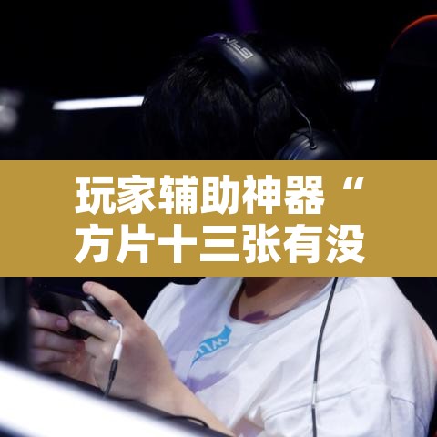 玩家辅助神器“方片十三张有没有挂	”其实确实有挂