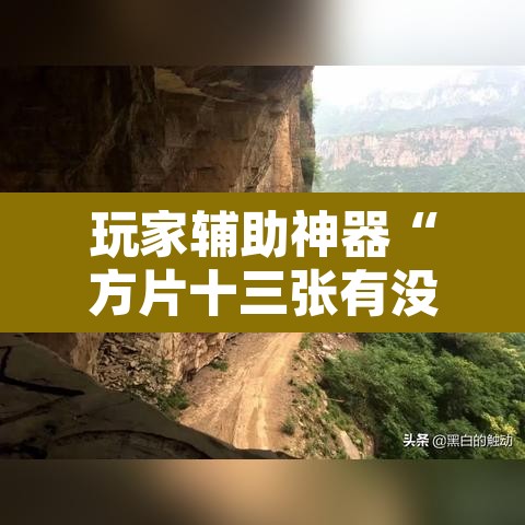 玩家辅助神器“方片十三张有没有挂”其实确实有挂