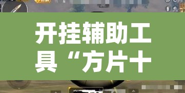 开挂辅助工具“方片十三张辅助器”(透视挂)辅助透视教程