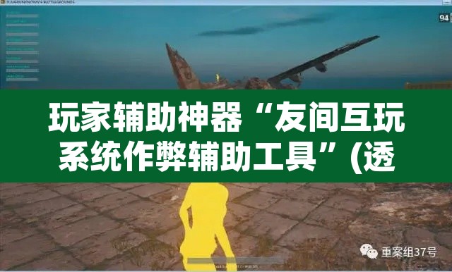 玩家辅助神器“友间互玩系统作弊辅助工具”(透视)其实确实有挂