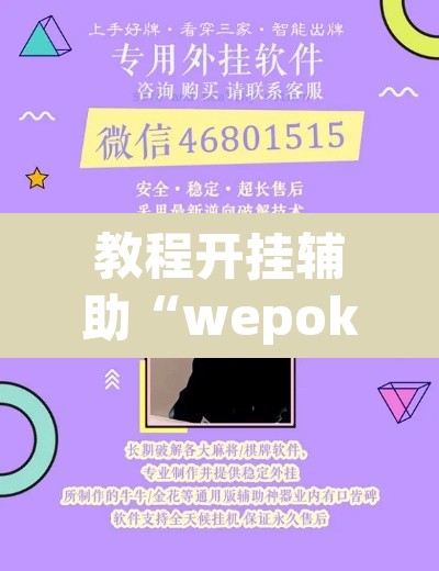 教程开挂辅助“wepoker私人局透视软件	”附辅助神器开挂脚本详细步骤