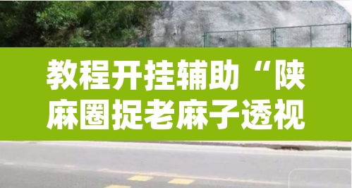 教程开挂辅助“陕麻圈捉老麻子透视	”(透视)其实确实有挂