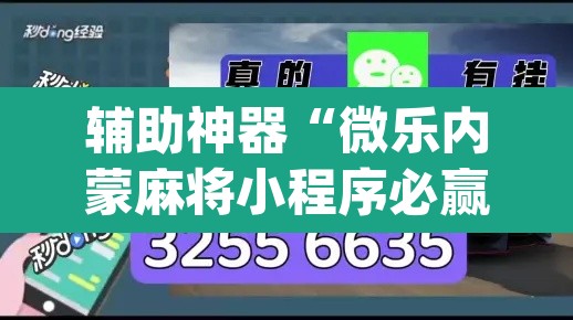 辅助神器“微乐内蒙麻将小程序必赢神器免费安装	”(透视)其实确实有挂