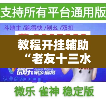教程开挂辅助“老友十三水能不能调胜率 ”附辅助神器开挂脚本详细步骤