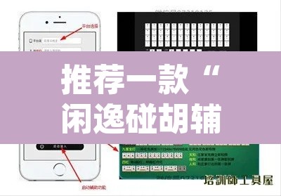 推荐一款“闲逸碰胡辅助软件下载”(透视)其实确实有挂