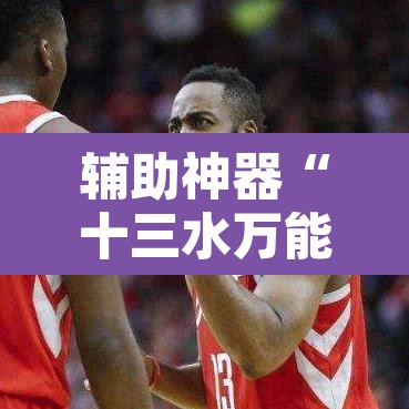 辅助神器“十三水万能辅助器”其实确实有挂