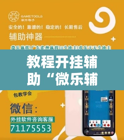 教程开挂辅助“微乐辅助器最新免费版”(透视挂)辅助透视教程