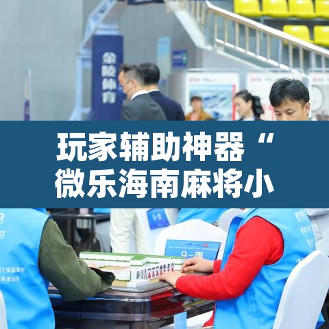 玩家辅助神器“微乐海南麻将小程序必赢神器	”附辅助神器开挂脚本详细步骤