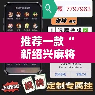 推荐一款“新绍兴麻将可以开挂吗”开挂辅助脚本+详细开挂安装教程