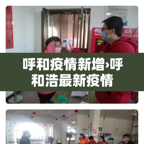呼和疫情新增›呼和浩最新疫情
