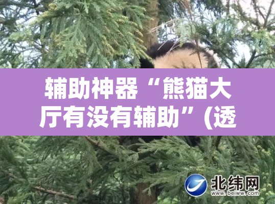 辅助神器“熊猫大厅有没有辅助”(透视)其实确实有挂