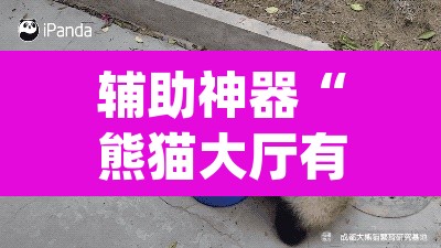 辅助神器“熊猫大厅有没有辅助	”(透视)其实确实有挂