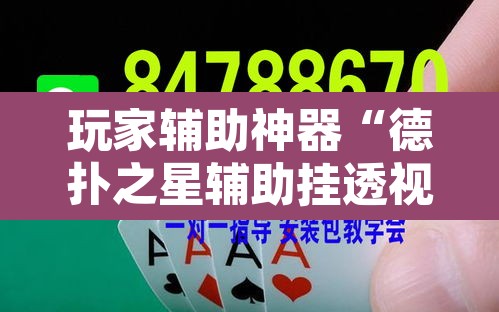 玩家辅助神器“德扑之星辅助挂透视教程	”开挂辅助脚本+详细开挂安装教程