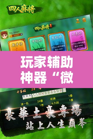 玩家辅助神器“微乐广西麻将开挂神器”开挂辅助脚本+详细开挂安装教程