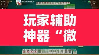 玩家辅助神器“微乐广西麻将开挂神器”开挂辅助脚本+详细开挂安装教程
