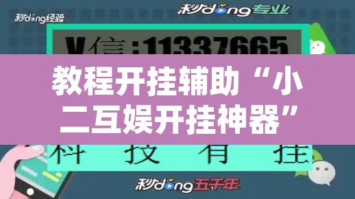 教程开挂辅助“小二互娱开挂神器”(透视)其实确实有挂
