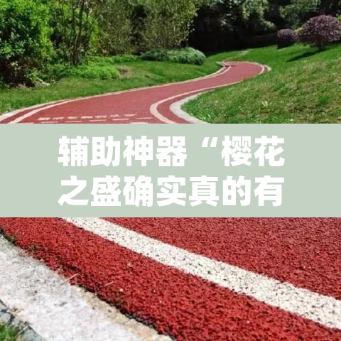 辅助神器“樱花之盛确实真的有挂”(透视)其实确实有挂