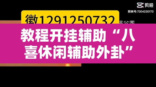 教程开挂辅助“八喜休闲辅助外卦”其实确实有挂