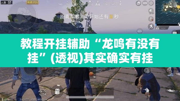 教程开挂辅助“龙鸣有没有挂”(透视)其实确实有挂