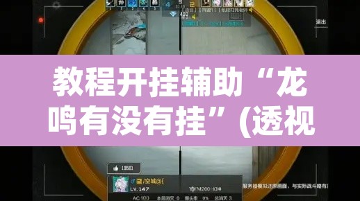 教程开挂辅助“龙鸣有没有挂”(透视)其实确实有挂