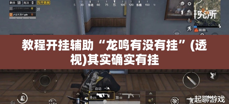 教程开挂辅助“龙鸣有没有挂”(透视)其实确实有挂