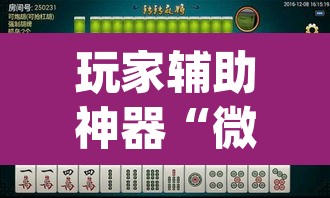 玩家辅助神器“微乐湖南麻将赢牌规律是啥”(透视)其实确实有挂