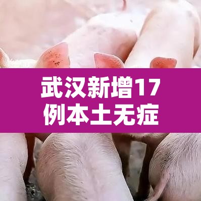 武汉新增17例本土无症状›武汉新增8例无症状感染者