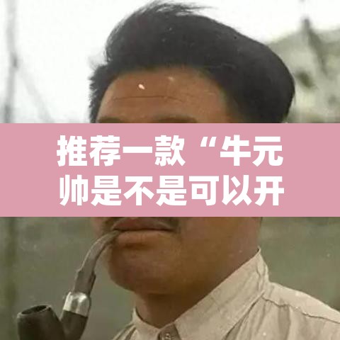 推荐一款“牛元帅是不是可以开挂”(透视)其实确实有挂