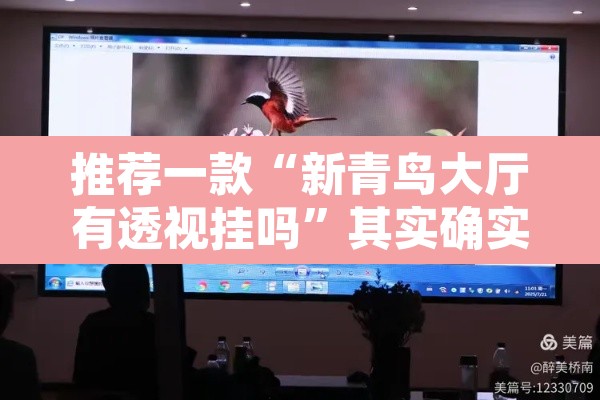 推荐一款“新青鸟大厅有透视挂吗”其实确实有挂