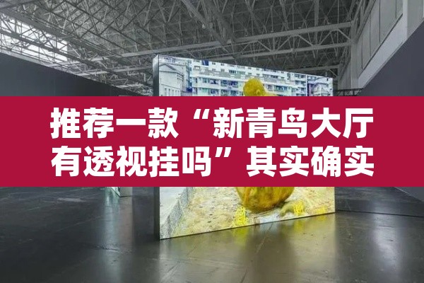 推荐一款“新青鸟大厅有透视挂吗	”其实确实有挂
