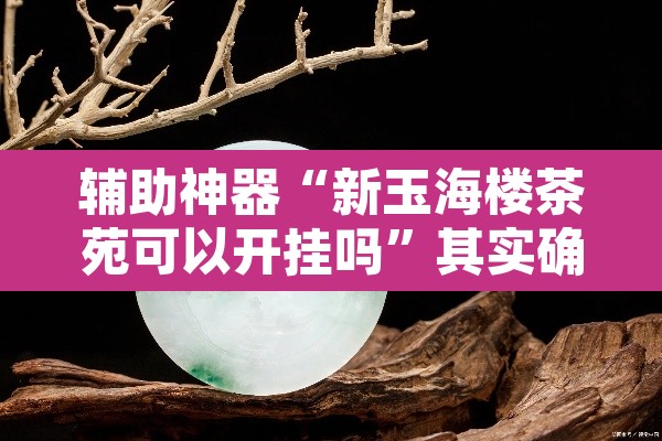 辅助神器“新玉海楼茶苑可以开挂吗	”其实确实有挂