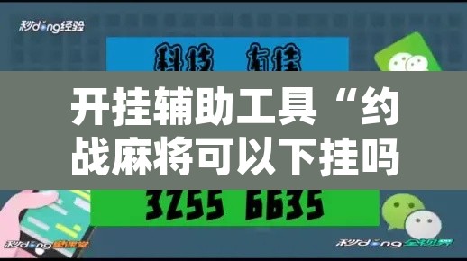 开挂辅助工具“约战麻将可以下挂吗”(透视)其实确实有挂