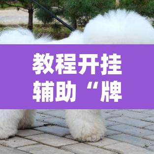 教程开挂辅助“牌友会有没有挂”(透视)其实确实有挂