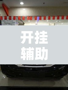 开挂辅助工具“途乐竞技怎么开挂”其实确实有挂