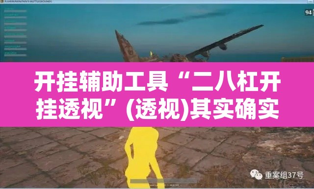 开挂辅助工具“二八杠开挂透视	”(透视)其实确实有挂