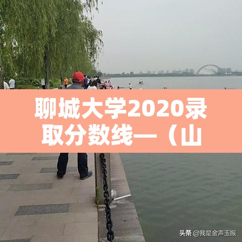 聊城大学2020录取分数线—（山东省聊城大学录取分数线）