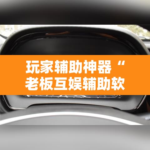 玩家辅助神器“老板互娱辅助软件下载”其实确实有挂