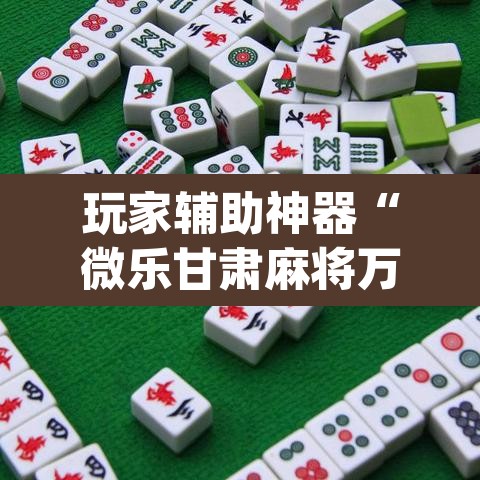 玩家辅助神器“微乐甘肃麻将万能开挂器”(透视挂)辅助透视教程