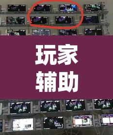 玩家辅助神器“新百道能不能开挂”(透视挂)辅助透视教程