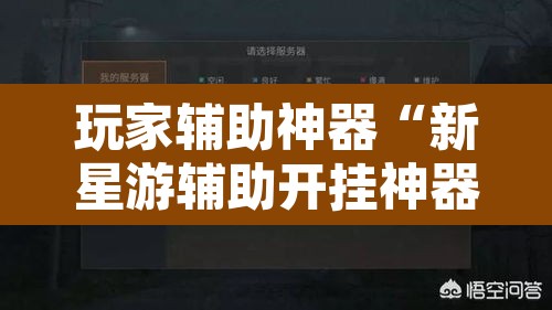 玩家辅助神器“新星游辅助开挂神器”其实确实有挂