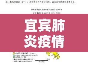 宜宾肺炎疫情分布 → 宜宾新冠疫情分布