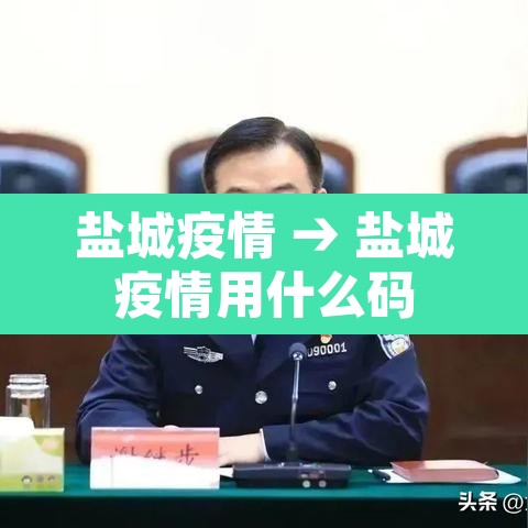 盐城疫情 → 盐城疫情用什么码