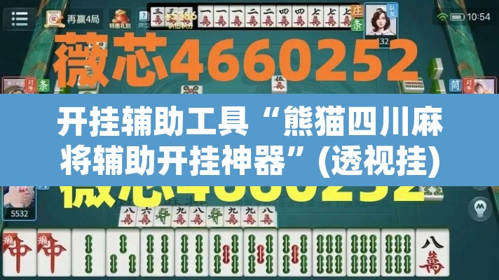 开挂辅助工具“熊猫四川麻将辅助开挂神器”(透视挂)辅助透视教程