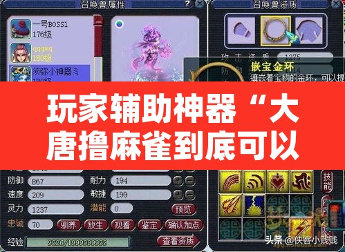 玩家辅助神器“大唐撸麻雀到底可以开挂吗”其实确实有挂
