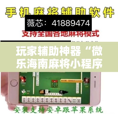 玩家辅助神器“微乐海南麻将小程序怎么开挂”其实确实有挂