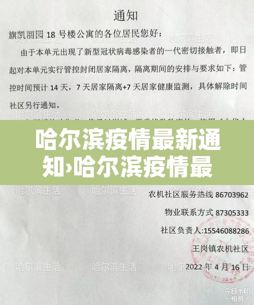 哈尔滨疫情最新通知›哈尔滨疫情最新动向