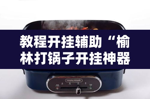 教程开挂辅助“榆林打锅子开挂神器下载”(透视)其实确实有挂
